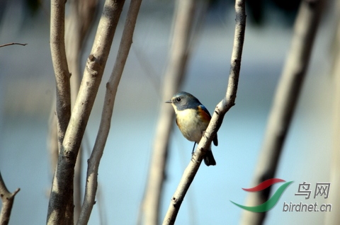 DSC_5246.JPG