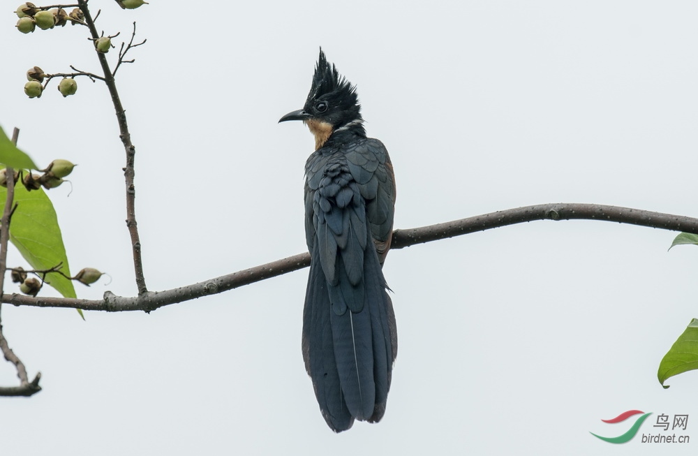 _DSC2940-1.jpg