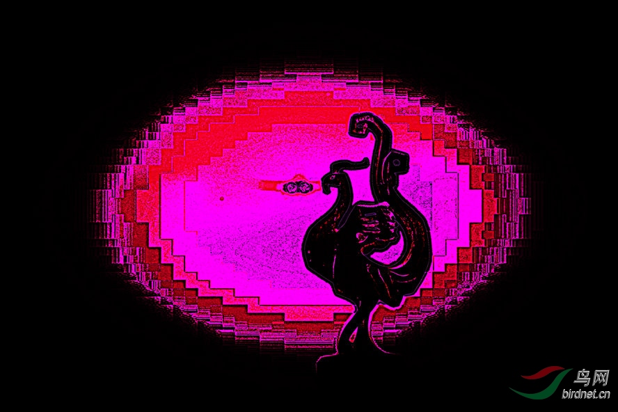 BW6I4112_����_����1_����2_����1_����1_����.jpg