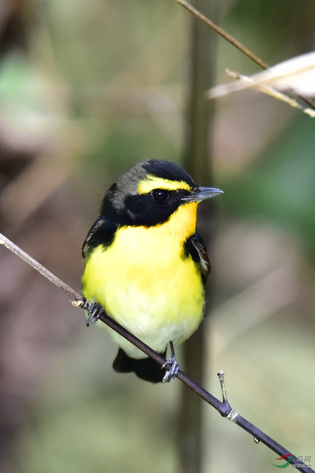 DSC_0029.JPG