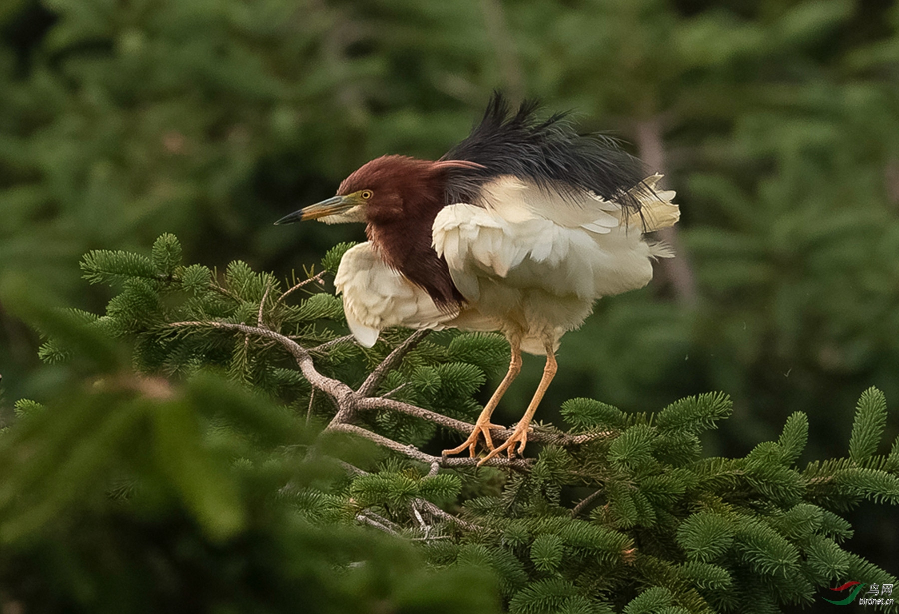 _K8I1848  01_����.jpg