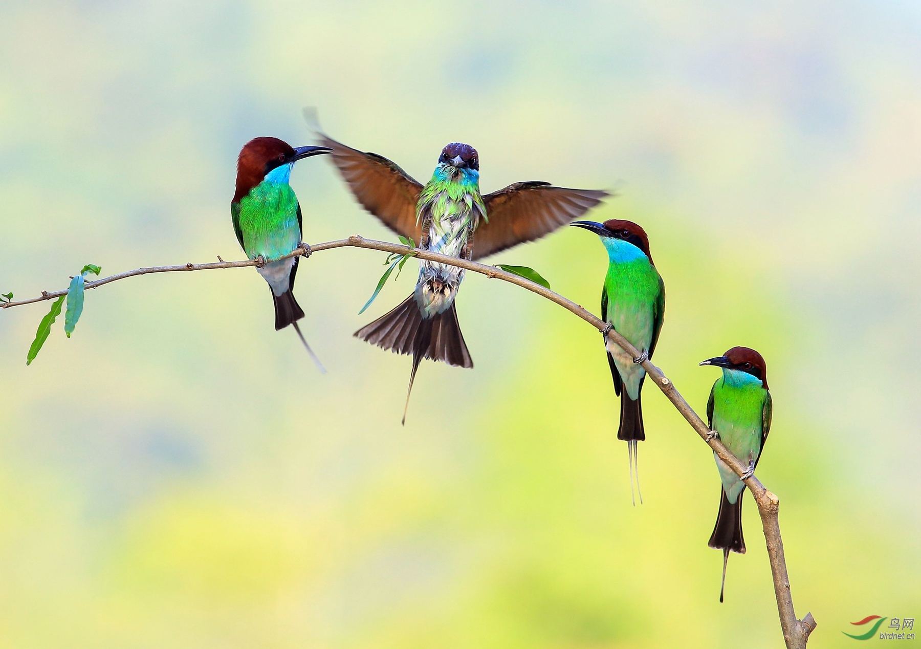 2019-06-04 17-10-59 (3).JPG