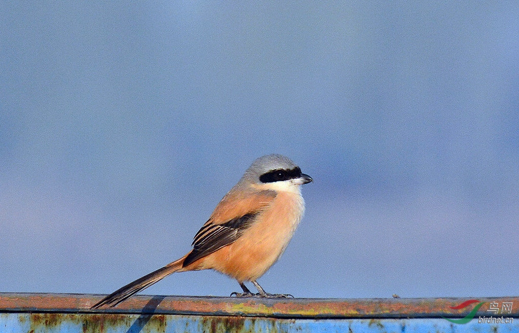 DSC_3887.JPG