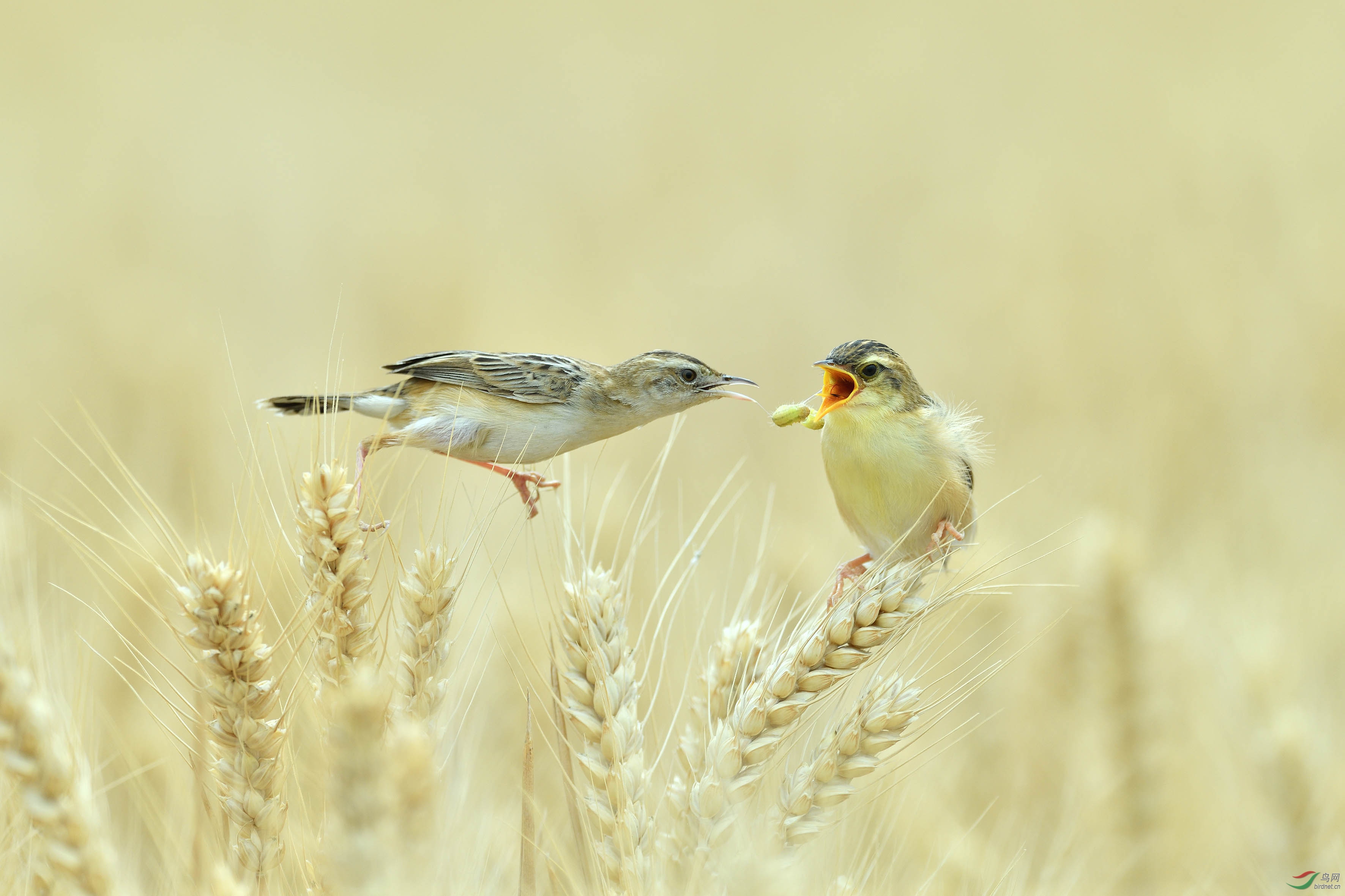 DSC_0664     �ϴ�.jpg