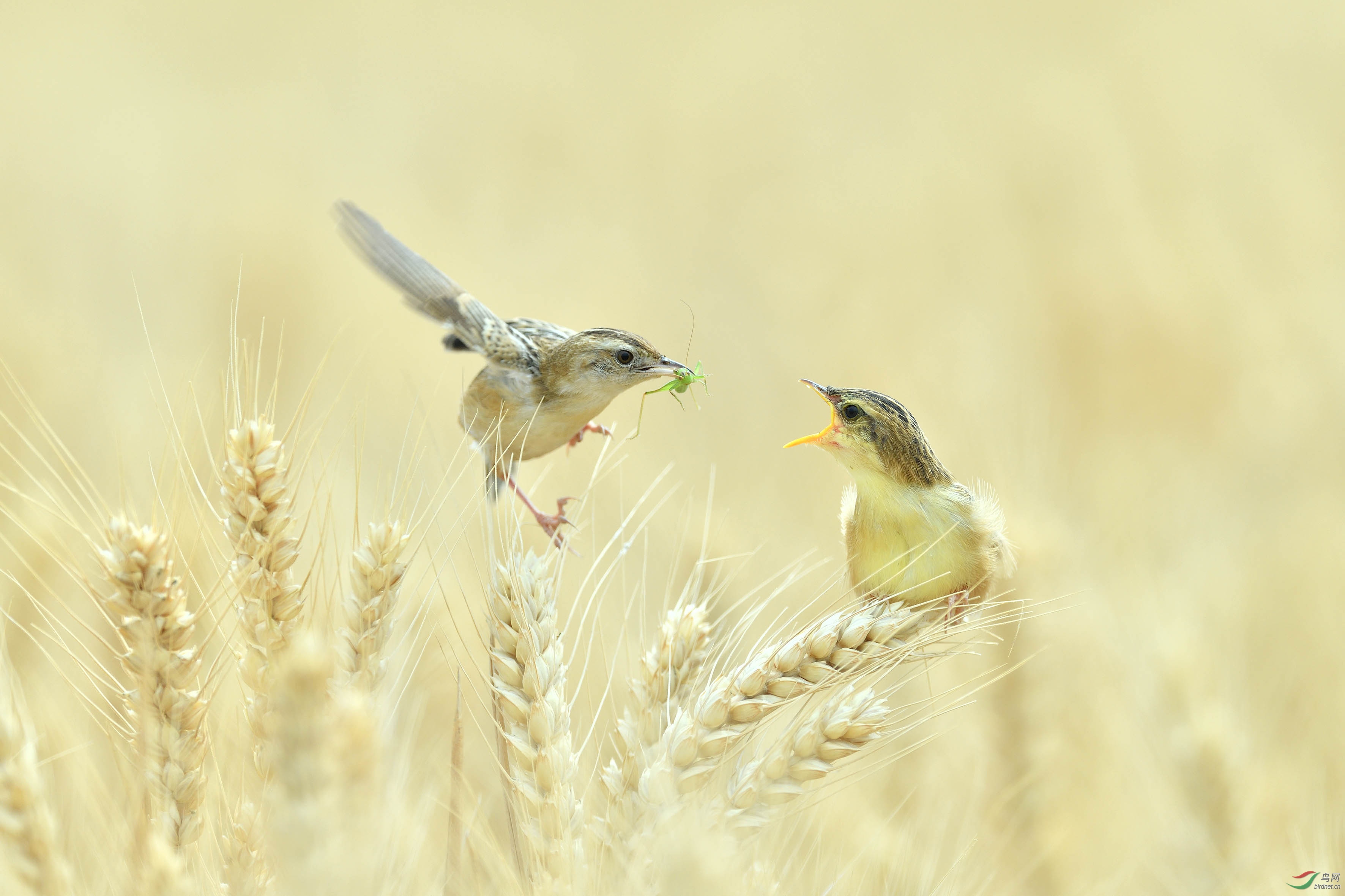 DSC_1562_��� ��Ƭ.jpg