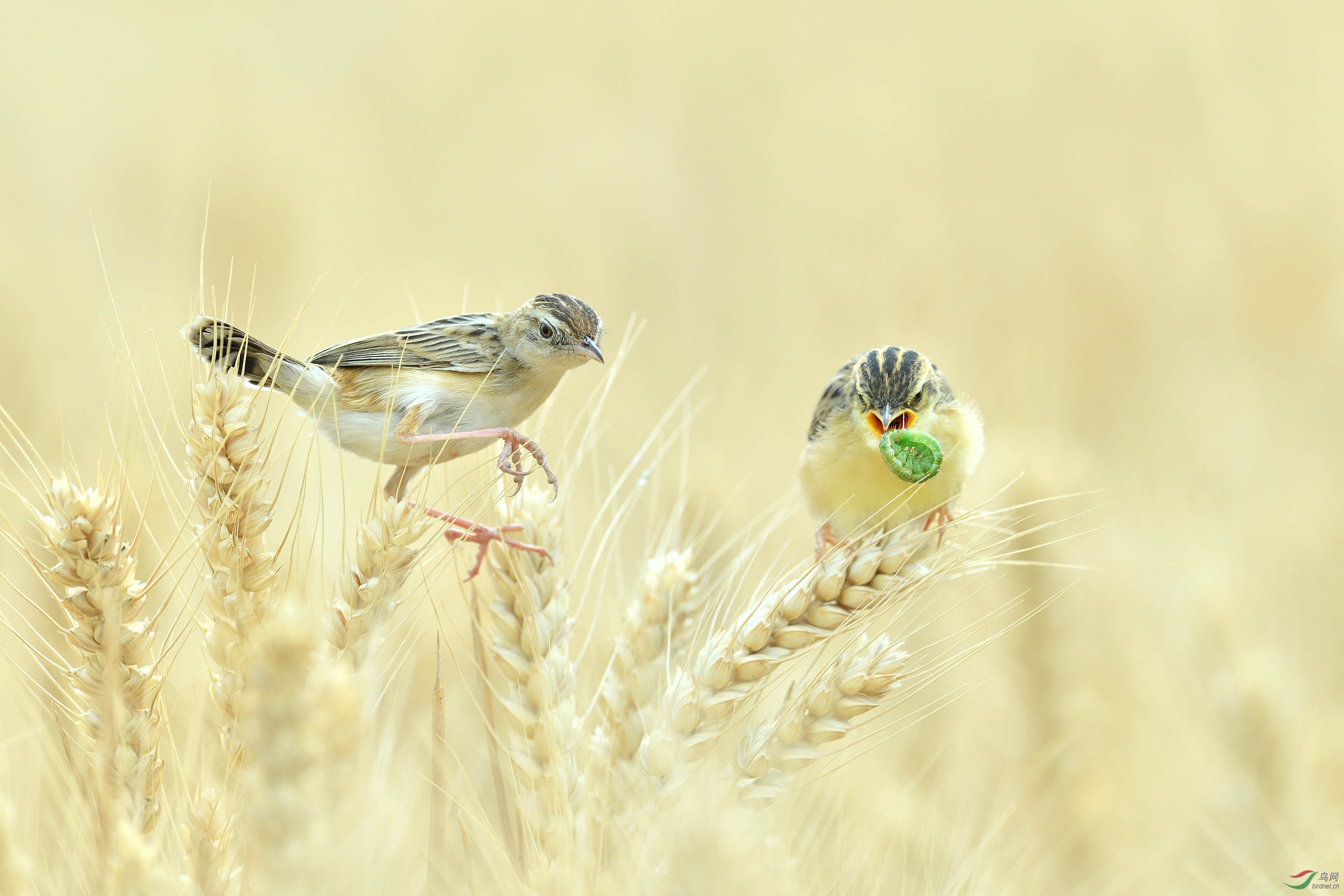 DSC_1217 ��Ƭ.jpg