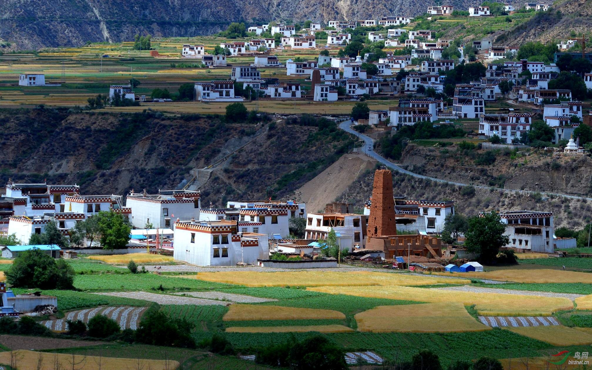 乡城白藏房白珍珠洒落人间