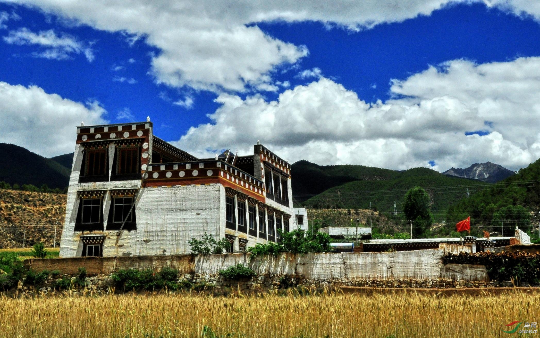 乡城白藏房白珍珠洒落人间