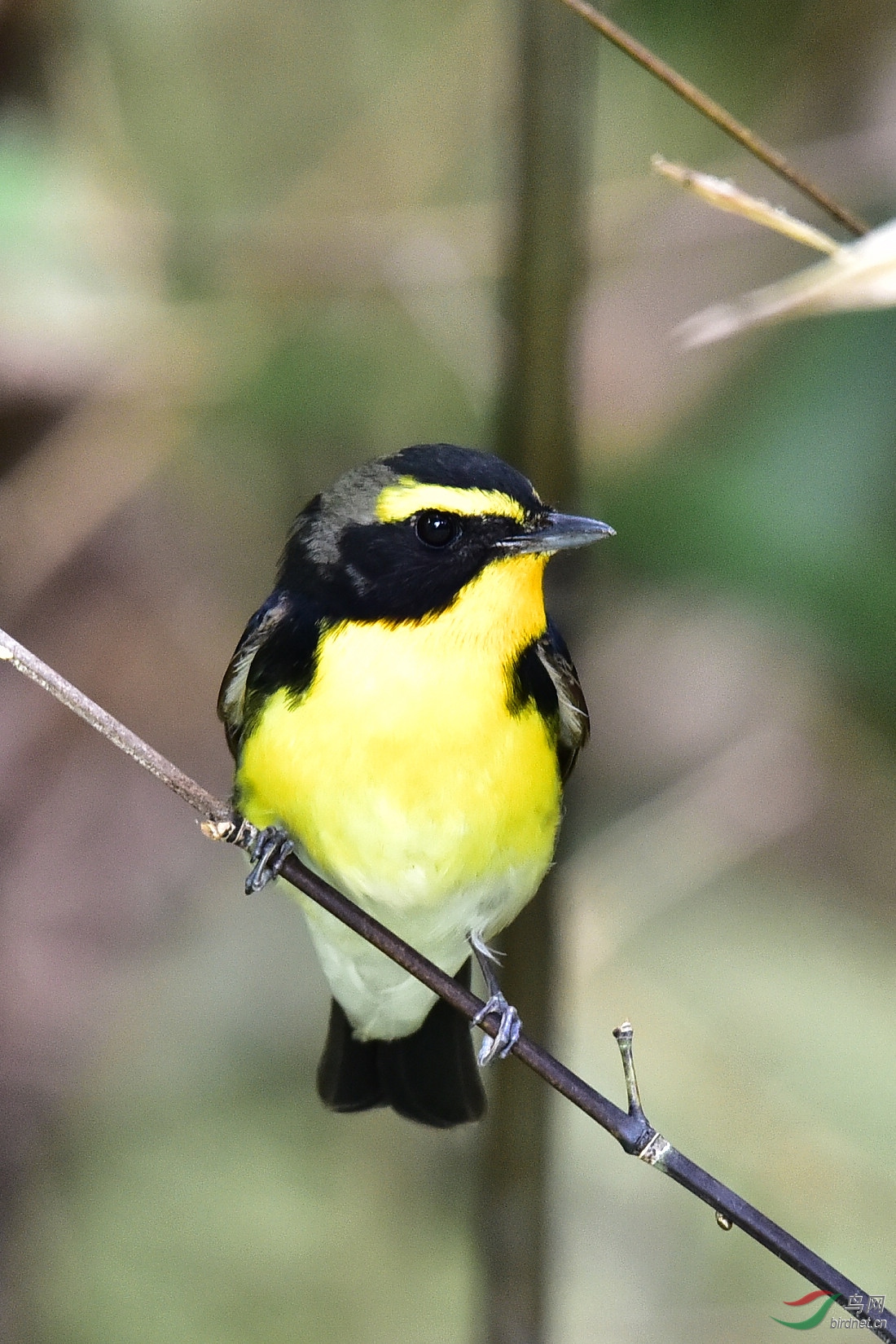 DSC_0035.JPG