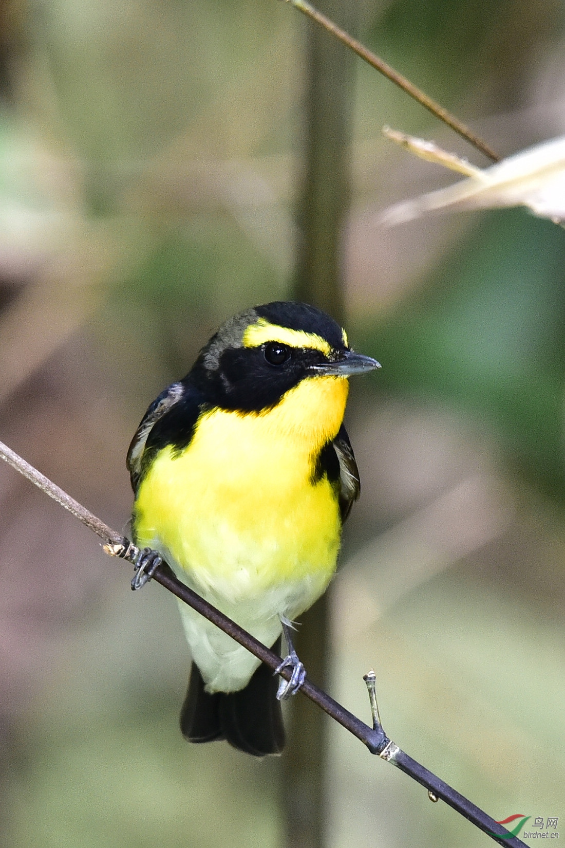 DSC_0036.JPG