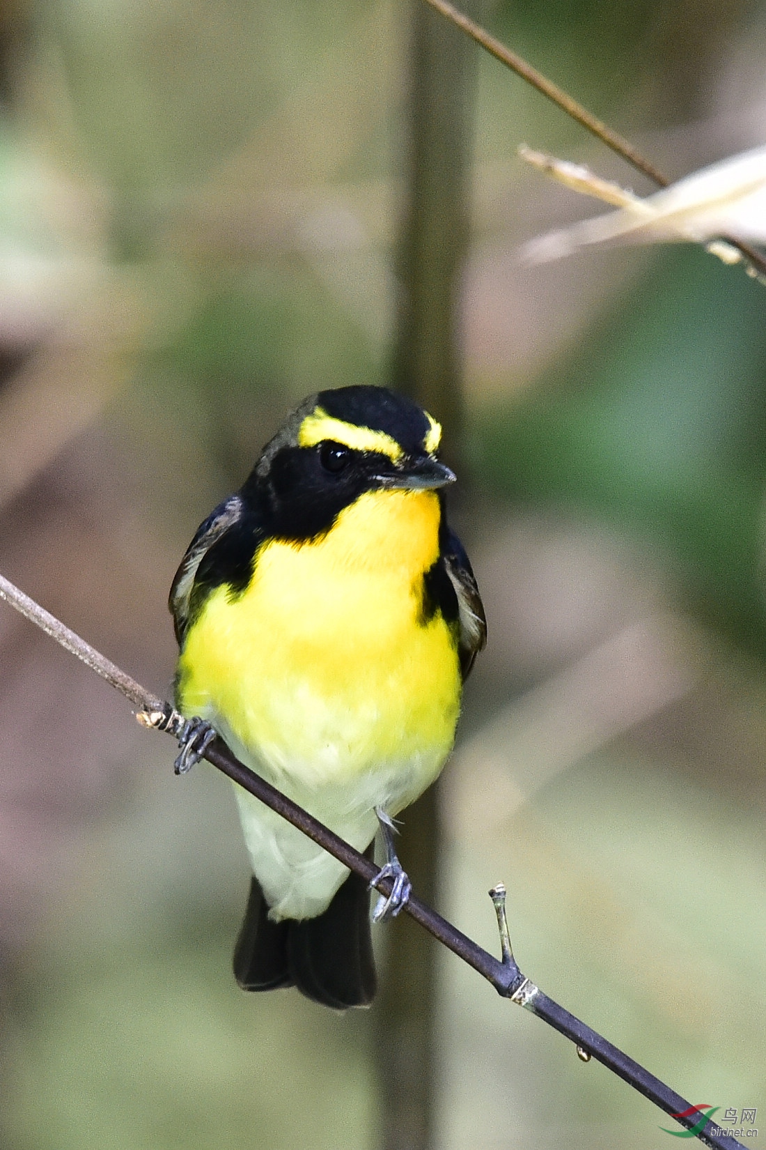 DSC_0037.JPG