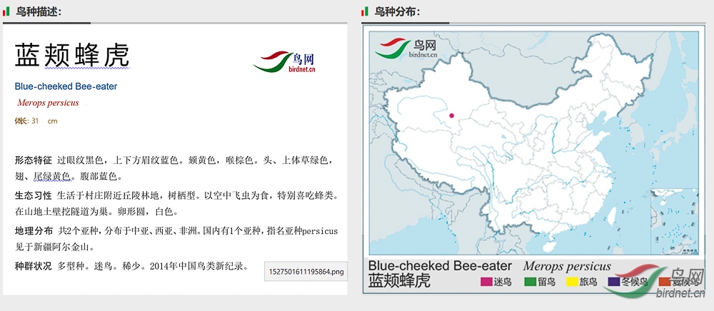 ���շ仢.jpg
