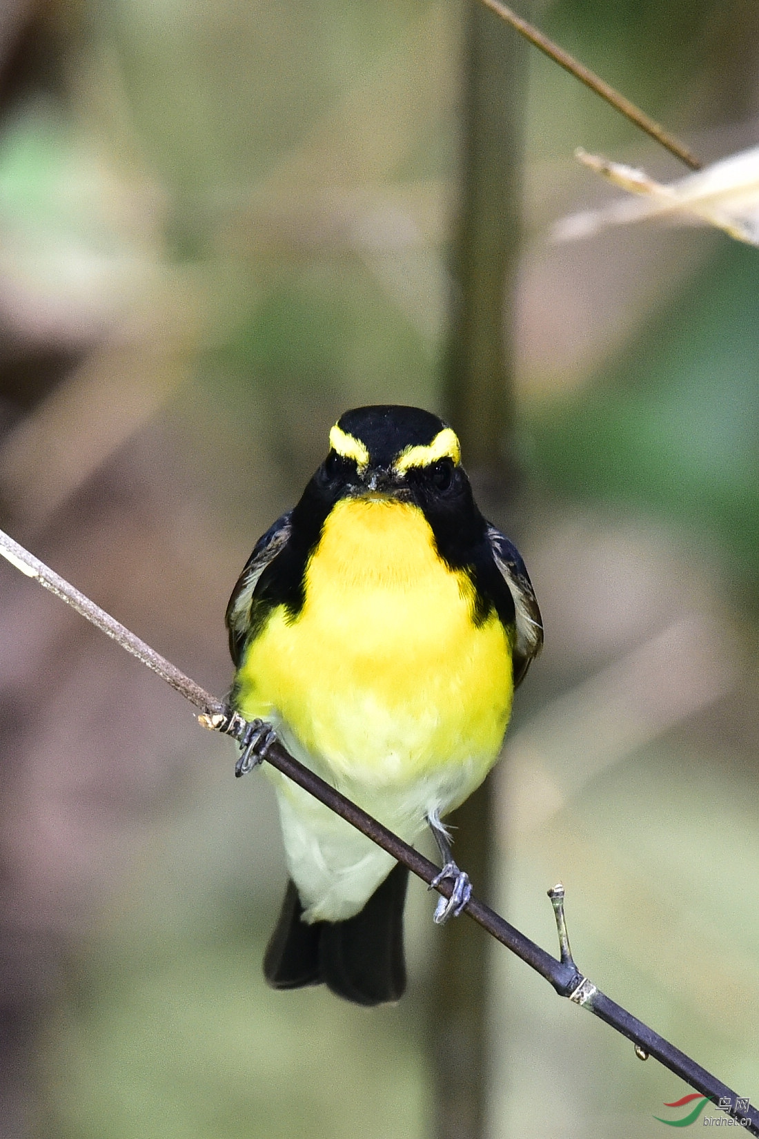 DSC_0039.JPG