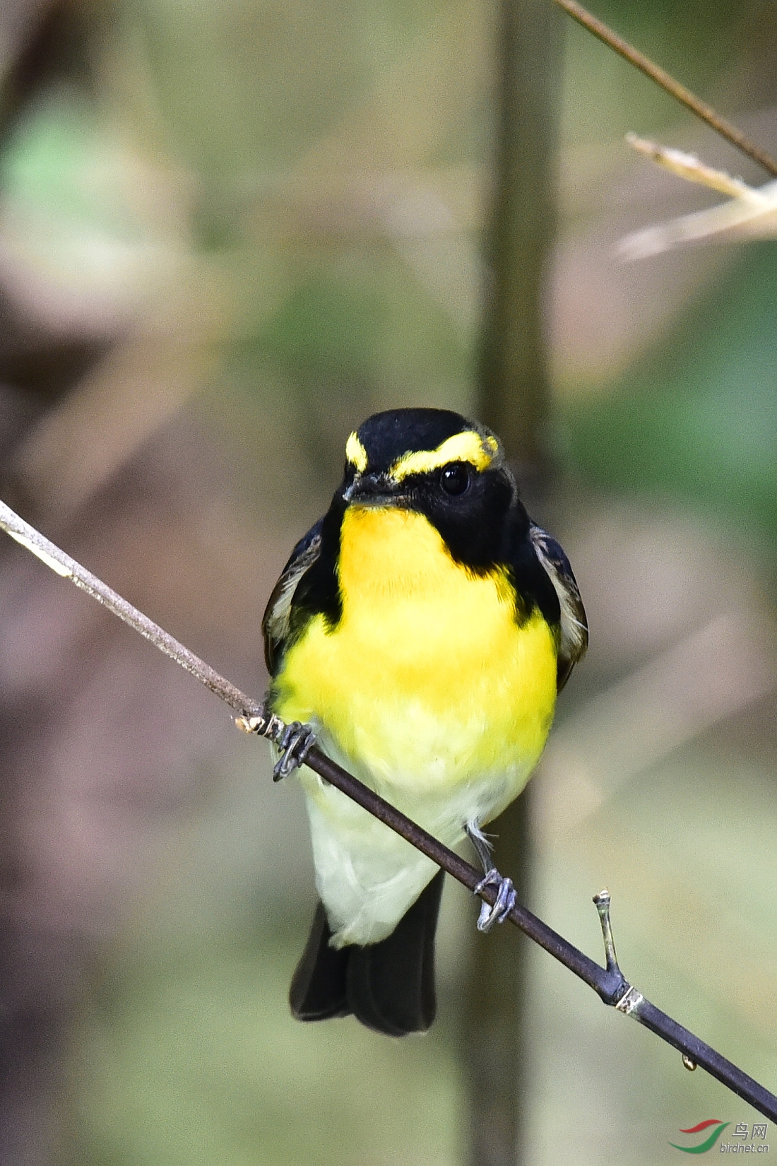 DSC_0040.JPG