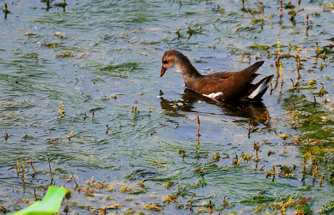 DSC_7561.JPG