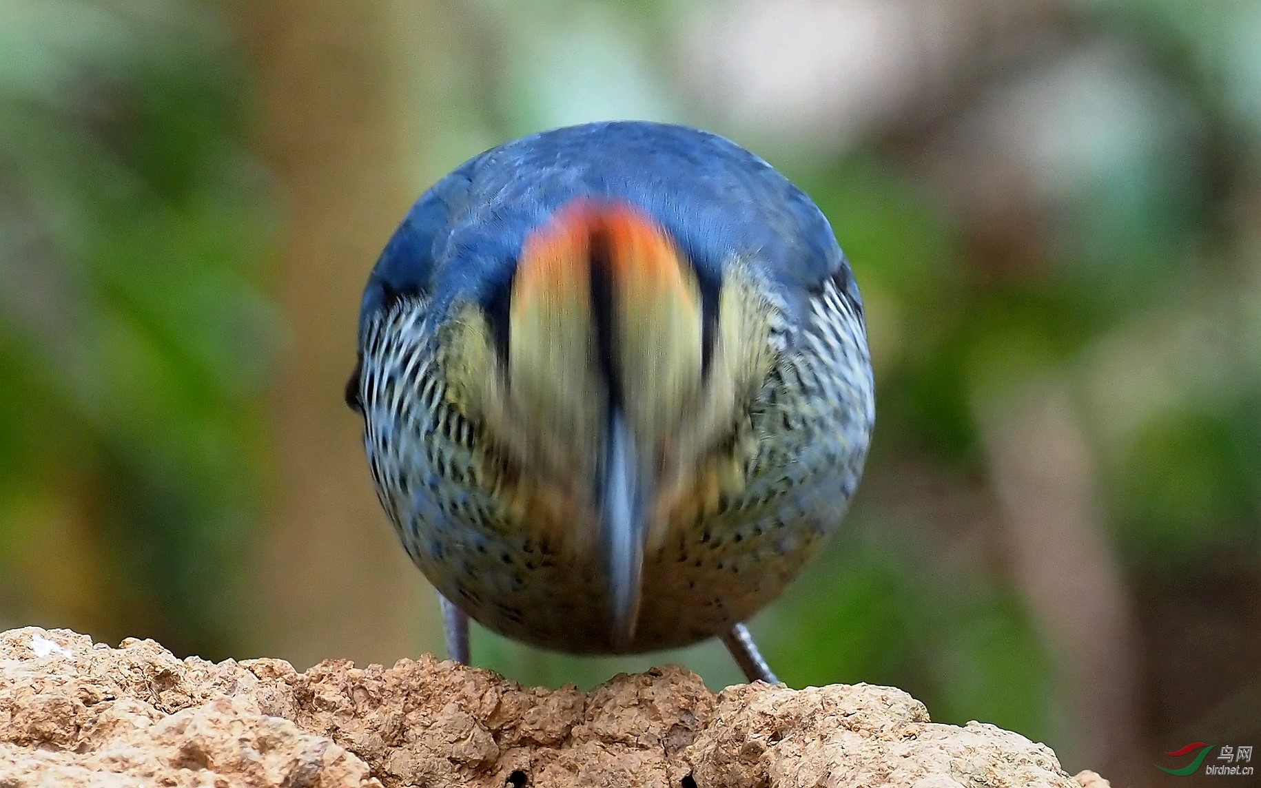 P3162703_����_DxO (����).jpg