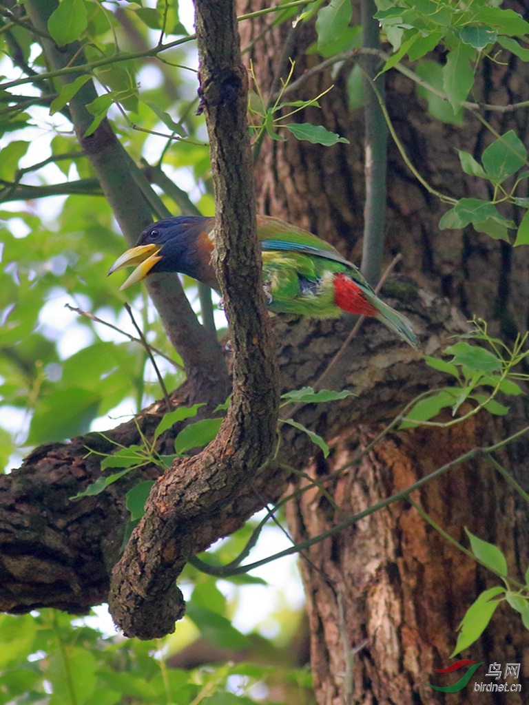 ������ľ���ں���