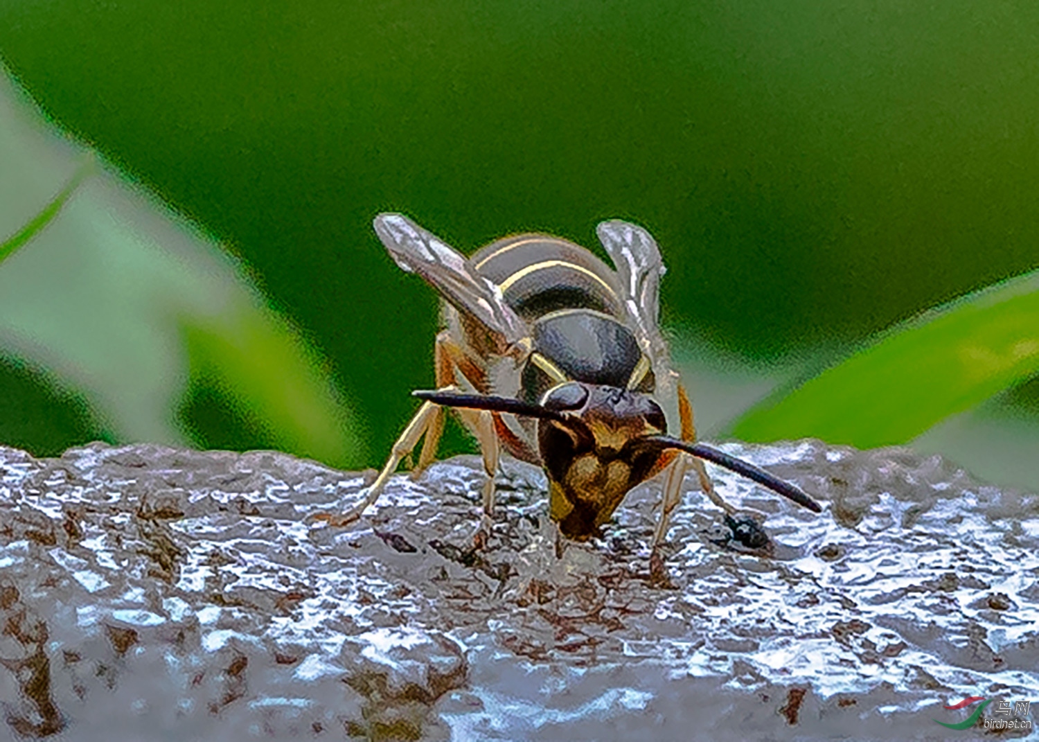 0Y6A1037-8.jpg