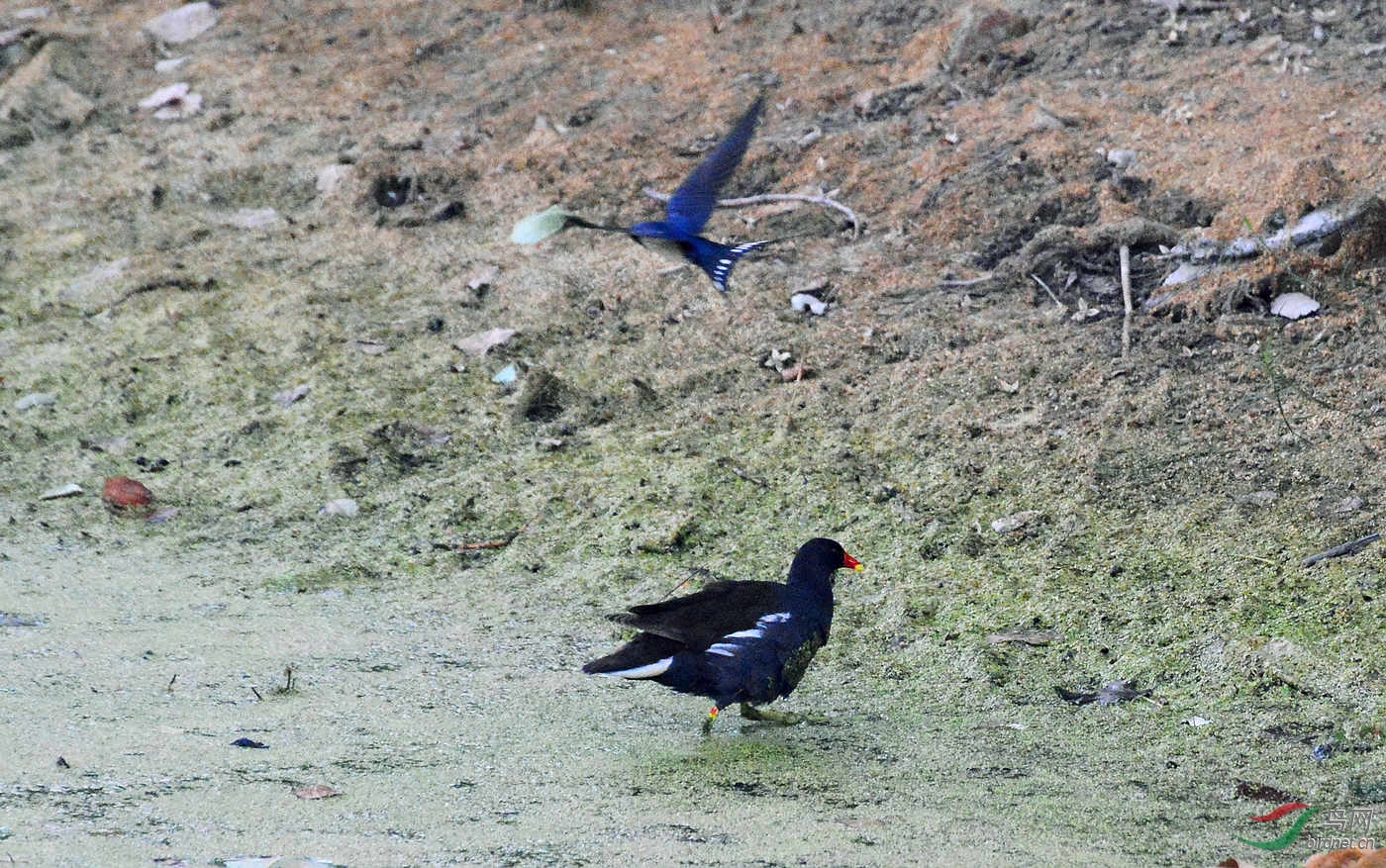 DSC_2734.JPG
