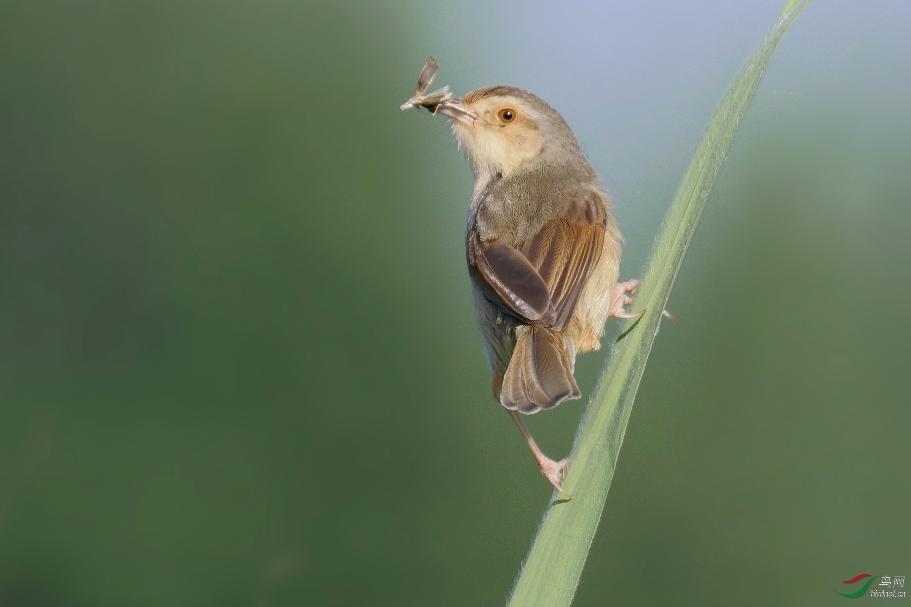 2019032.��ͷһ���Է羰