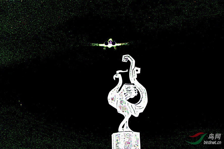 BW6I4269_����_����1_����.jpg
