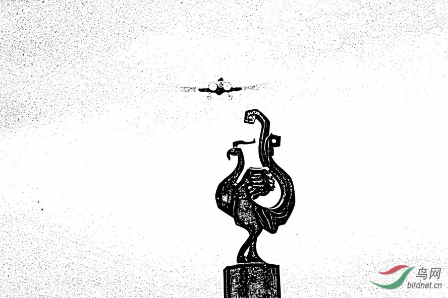 BW6I4269_����_����1_����1_����1_����1_����1_����.jpg