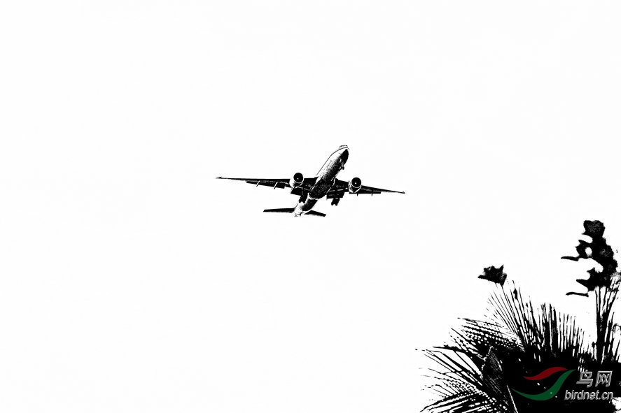 BW6I4564_����_����1_����1_����1_����.jpg