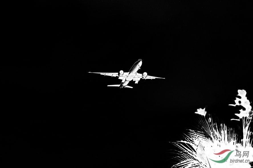 BW6I4564_����_����1_����1_����.jpg