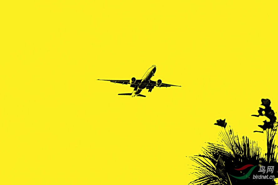 BW6I4564_����_����1_����1_����1_����1_����.jpg