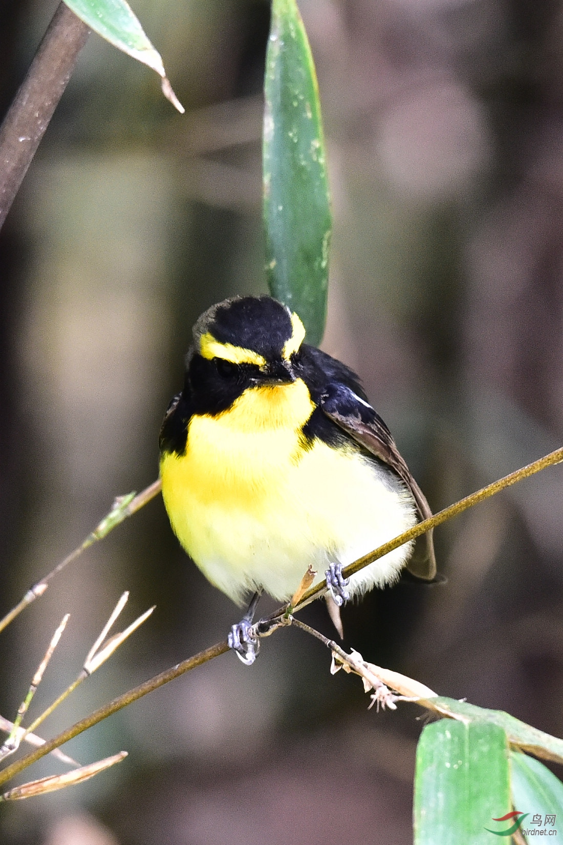 DSC_0045.JPG