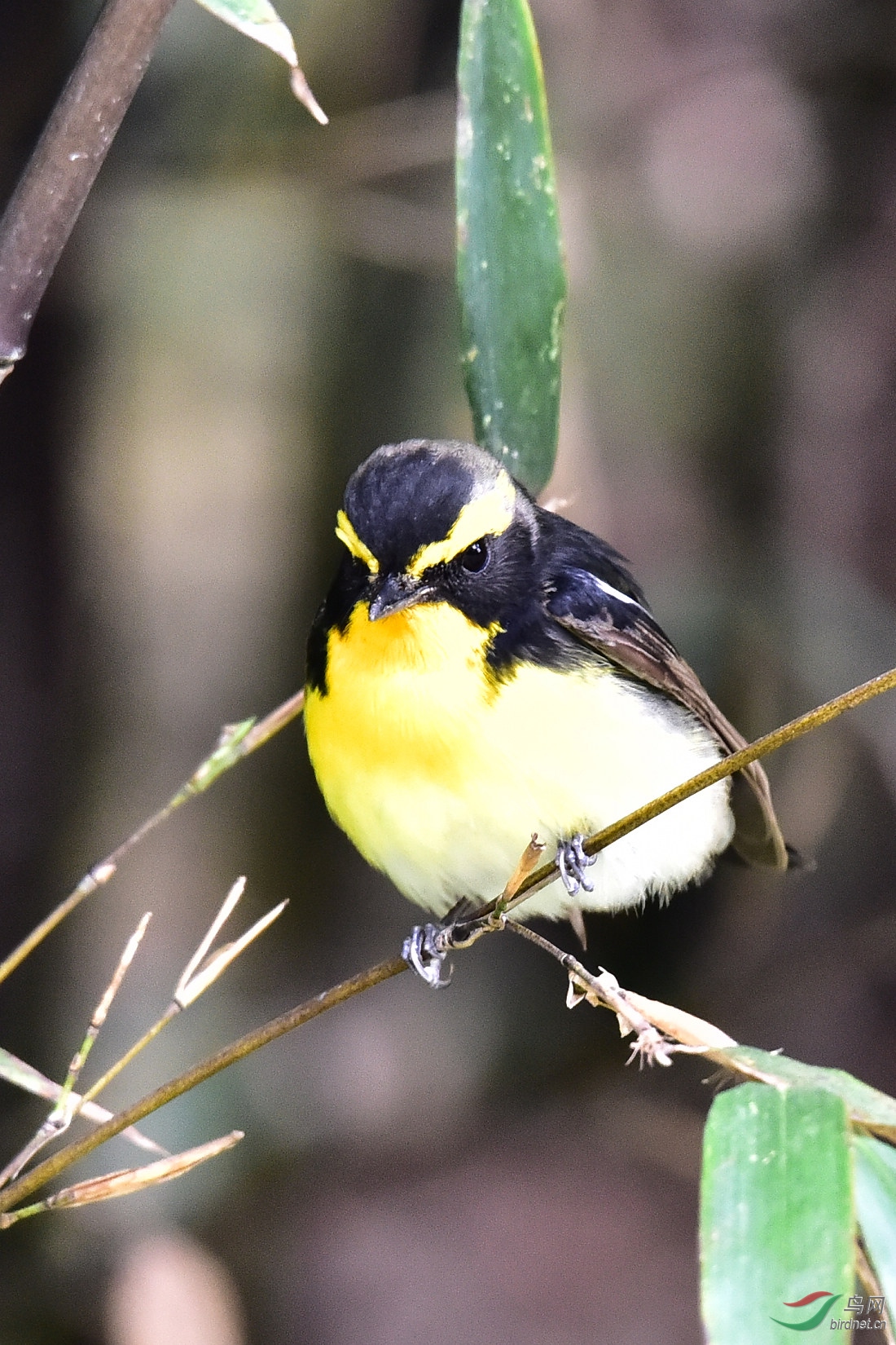 DSC_0046.JPG