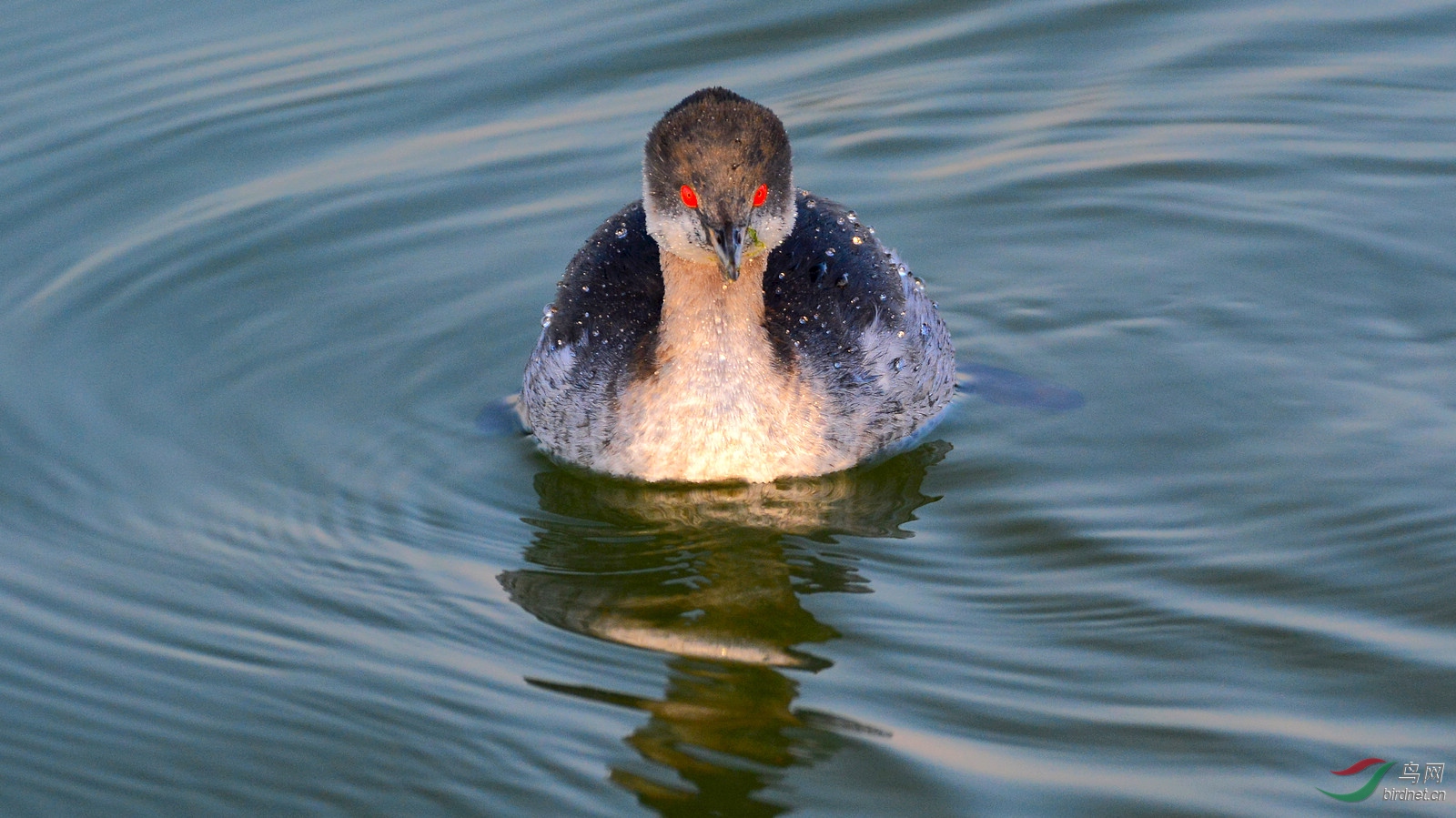 DSC_6903.JPG