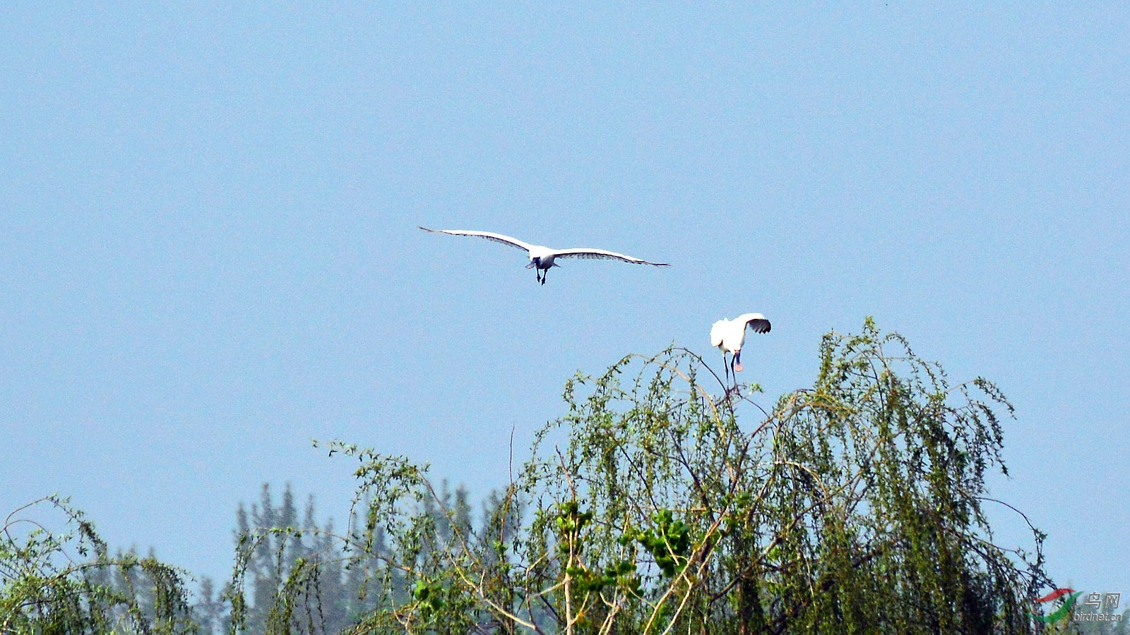 DSC_6355.JPG