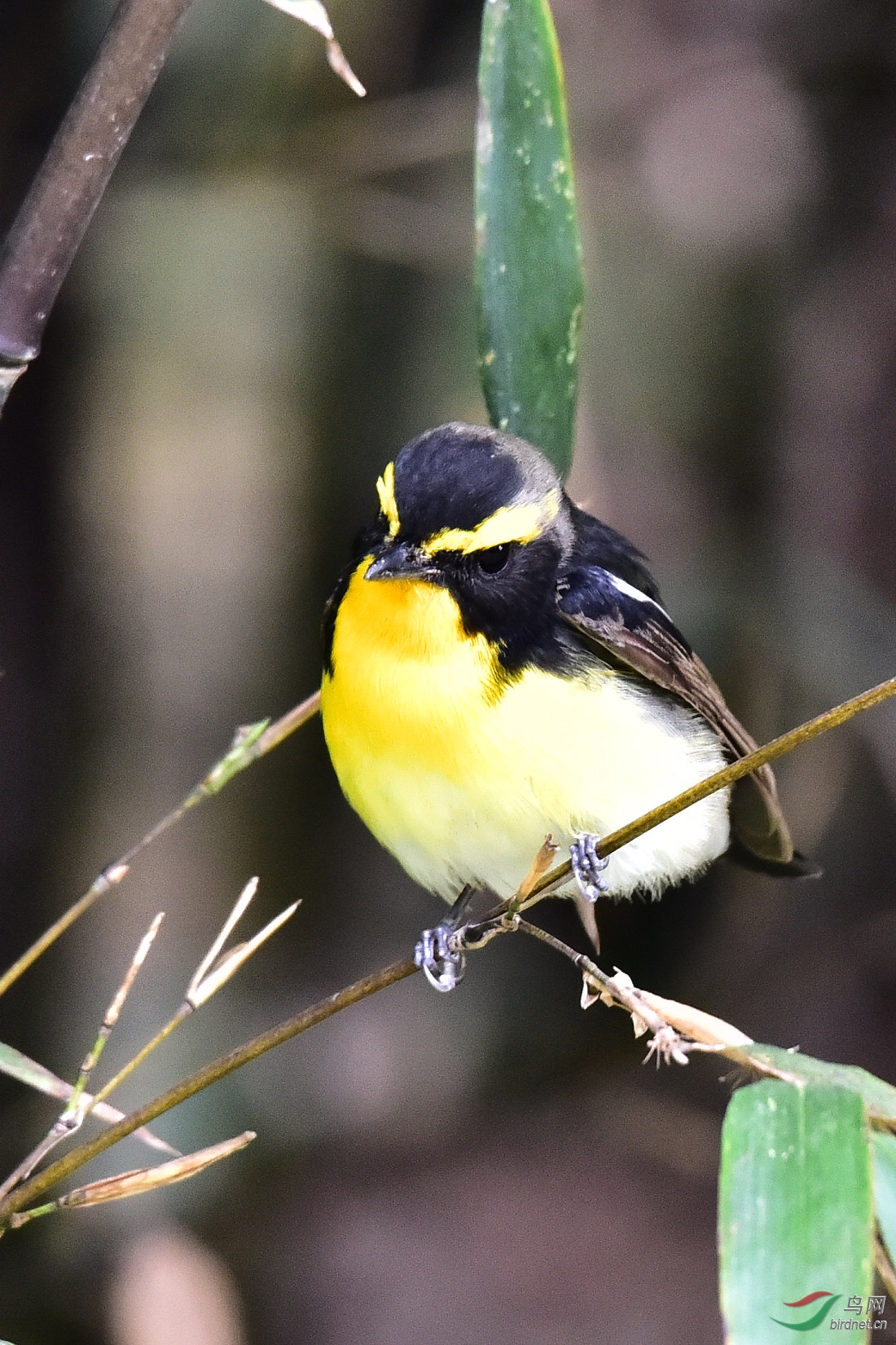 DSC_0048.JPG