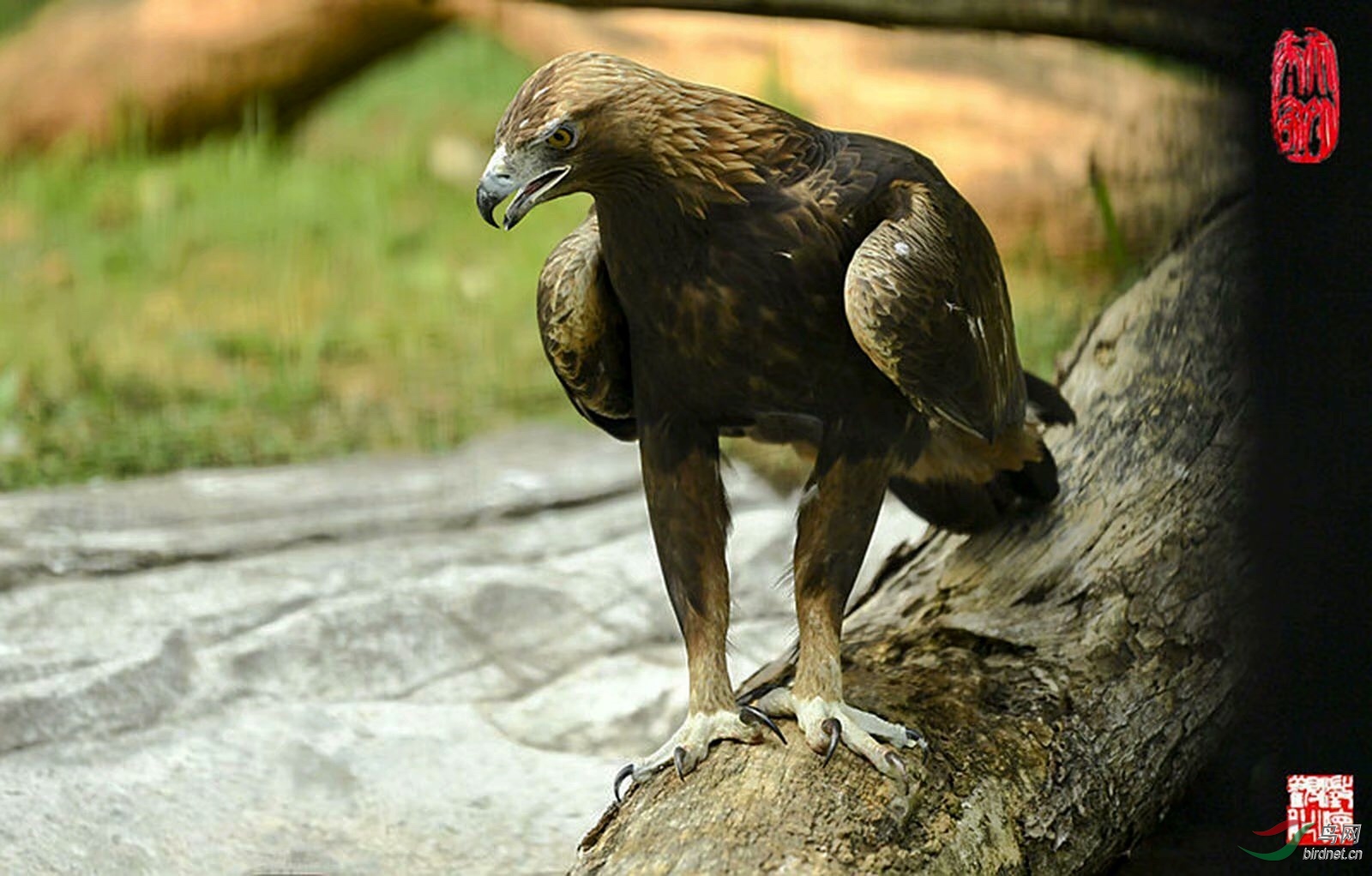 E6482CF1-4A66-4129-B1F8-EAEF3B3C8B1A.jpeg
