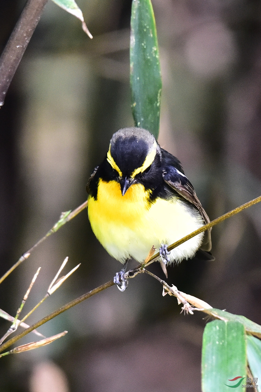 DSC_0052.JPG