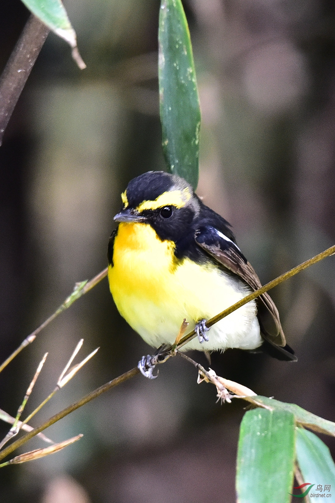 DSC_0054.JPG