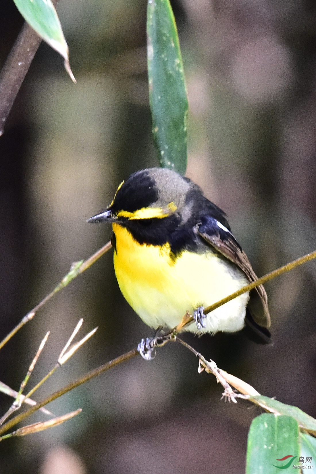 DSC_0055.JPG