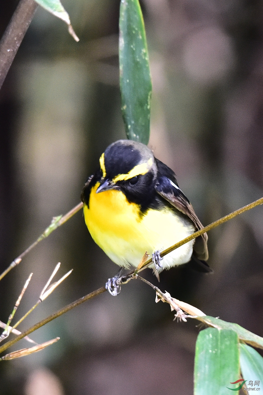 DSC_0057.JPG