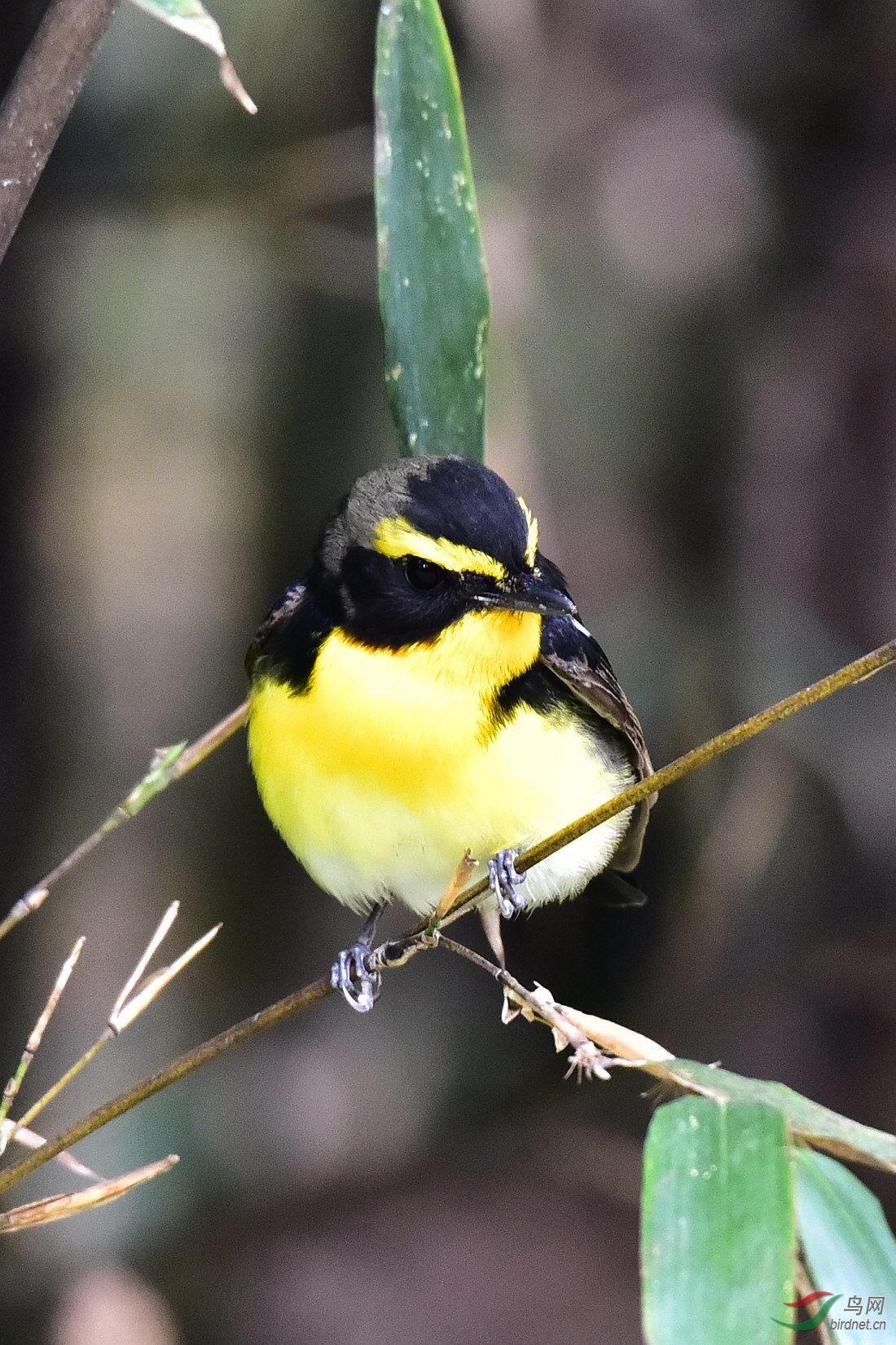 DSC_0058.JPG