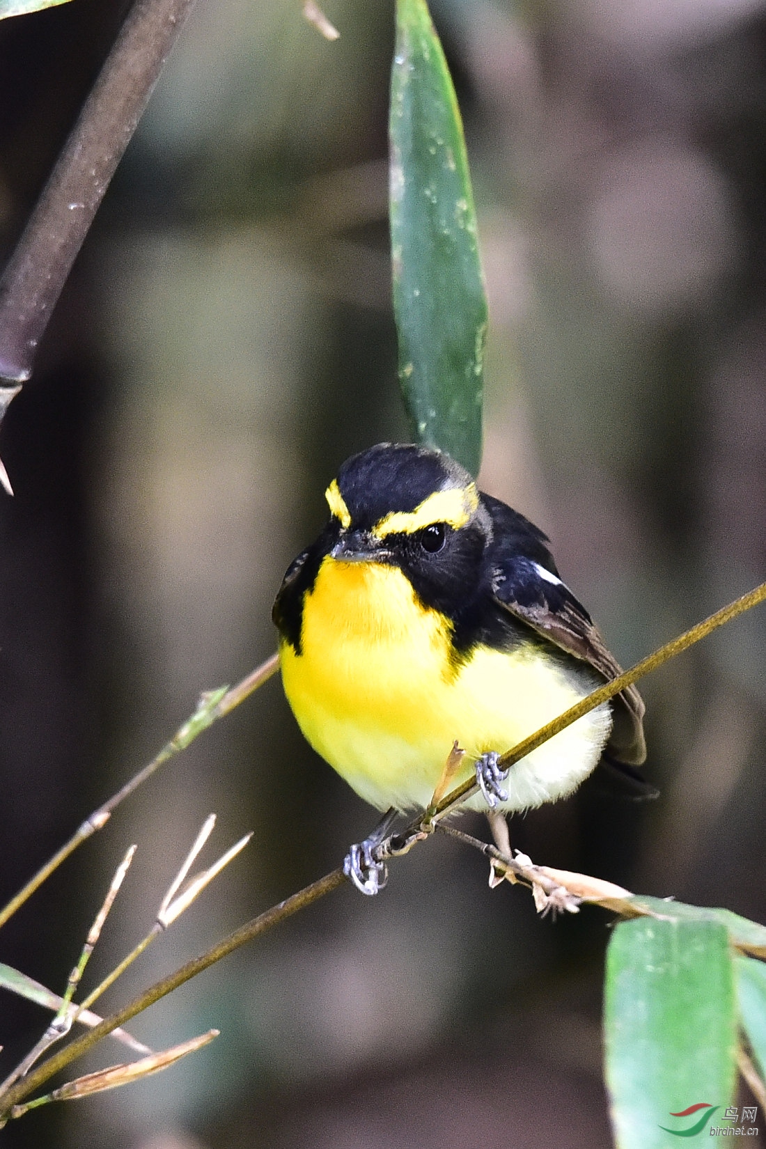 DSC_0059.JPG