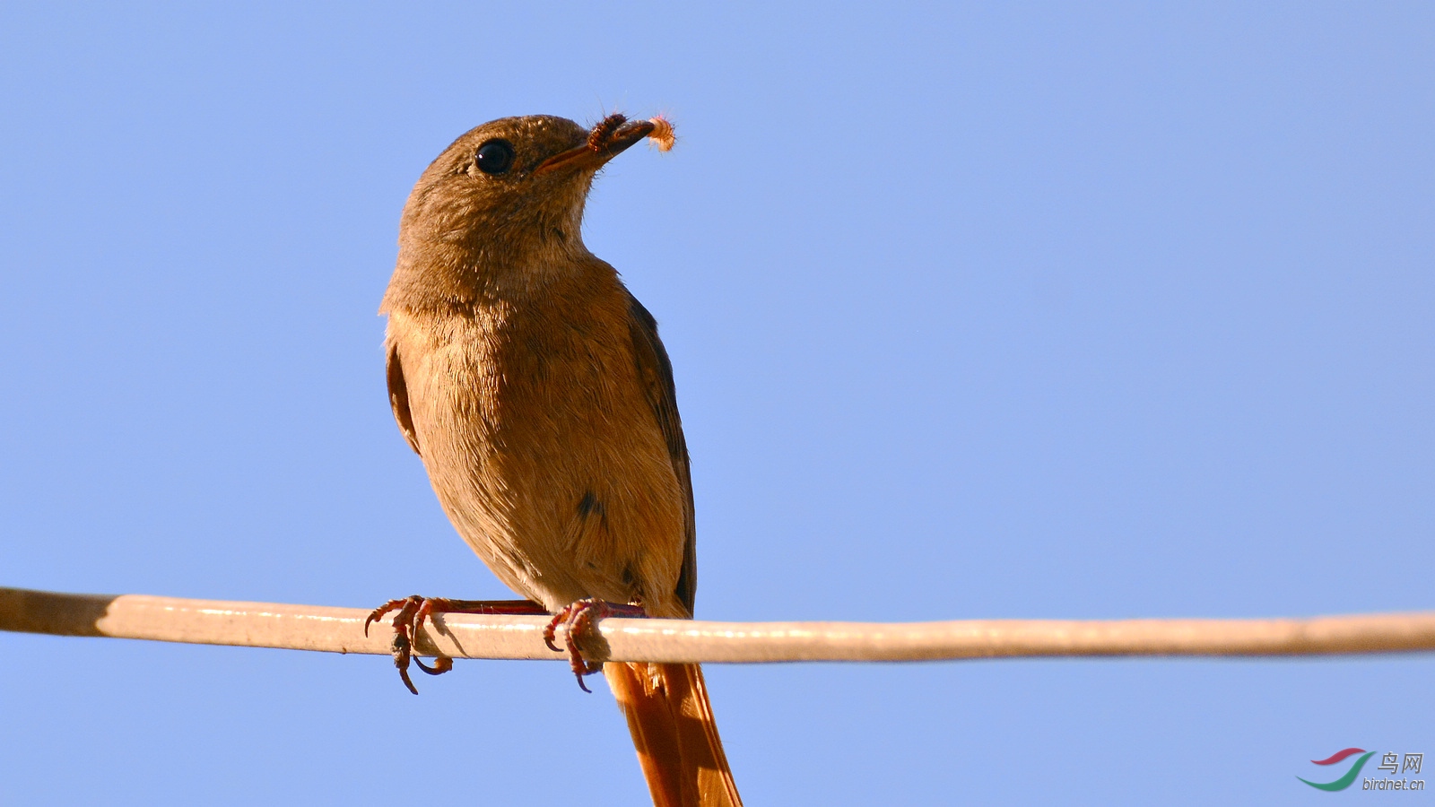 DSC_8473.JPG
