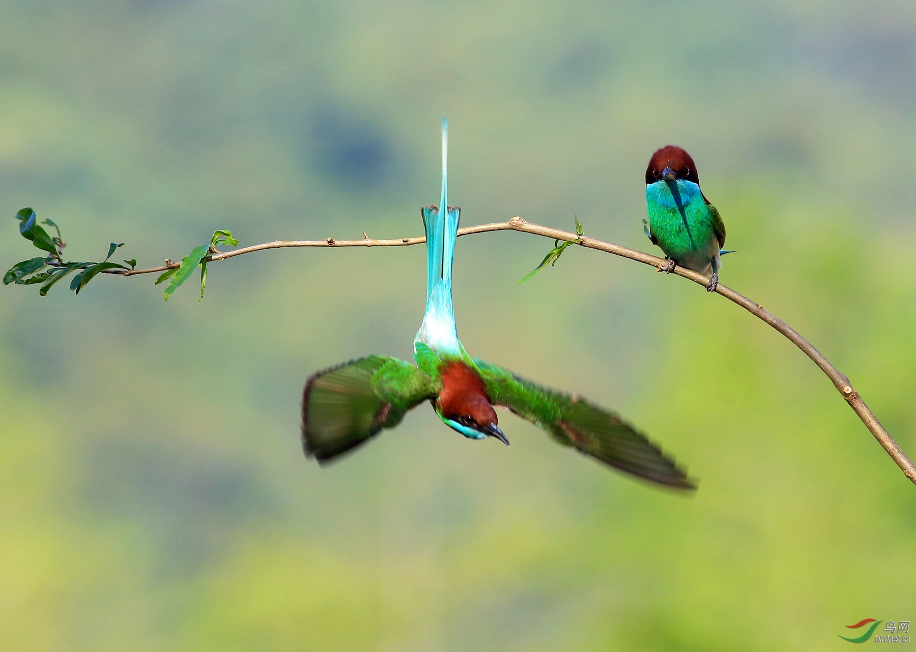 2019-06-04 16-04-05 (4).JPG