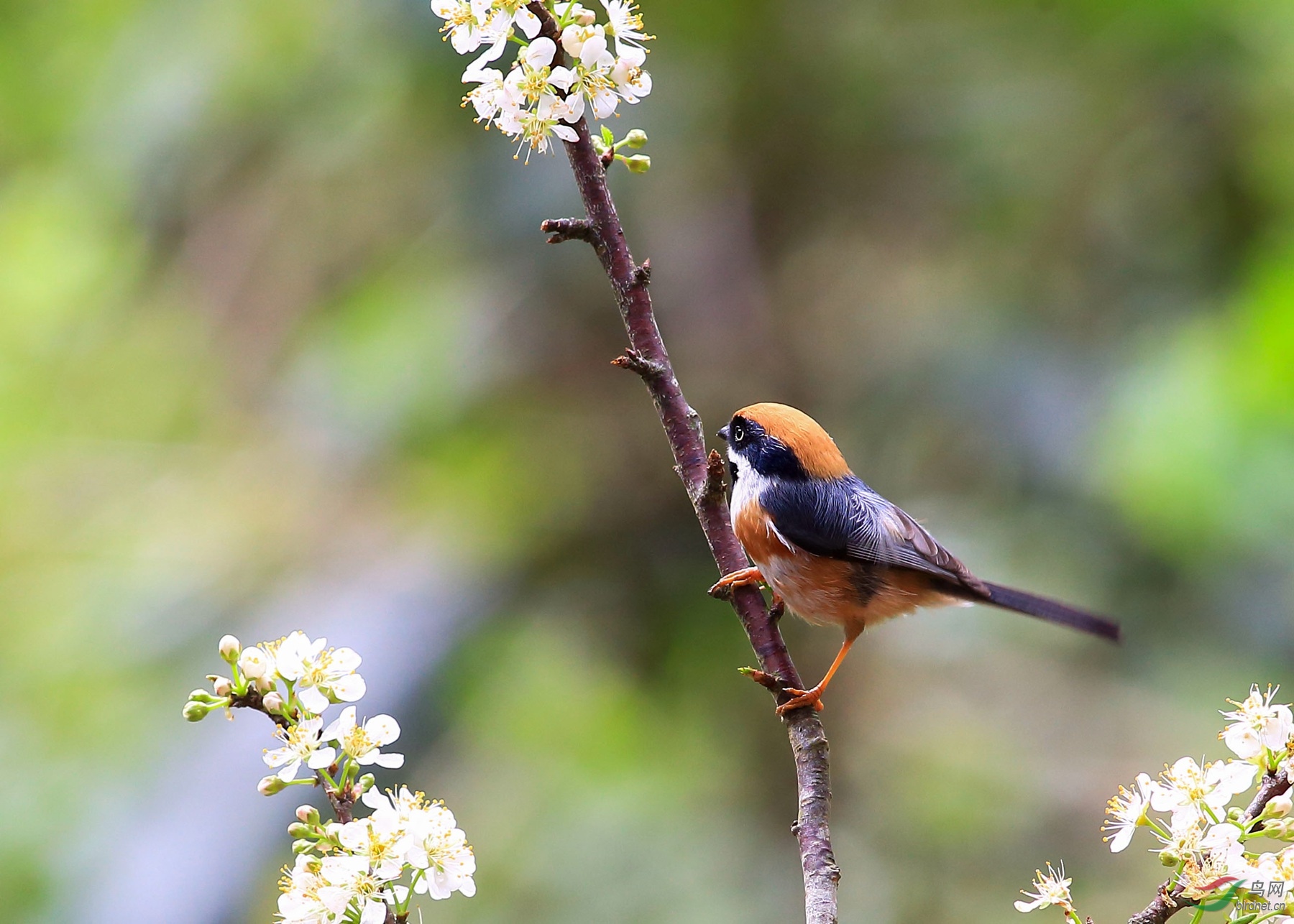 2019-01-27 11-22-07 (2).JPG