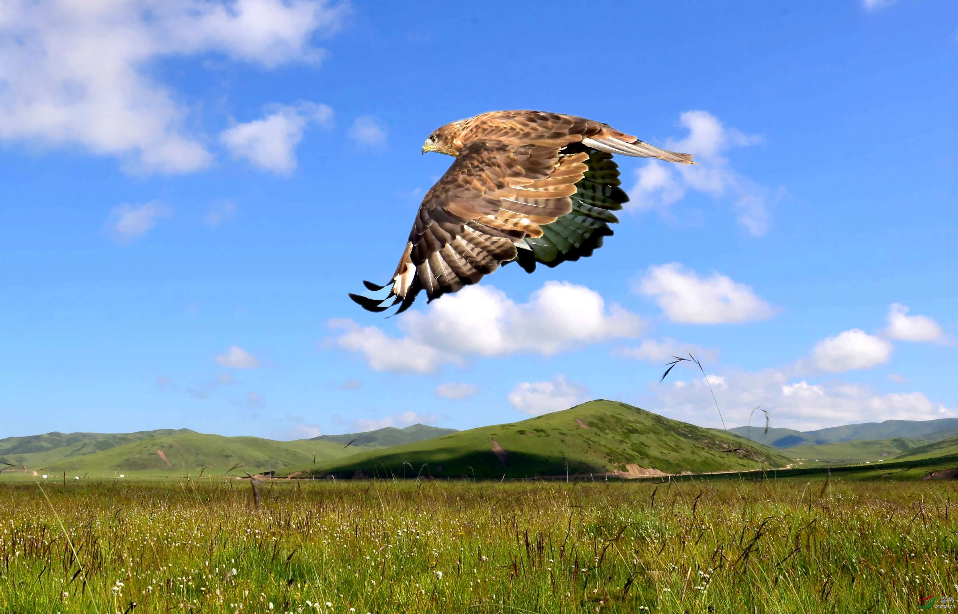 DSC_2647_conew6.jpg