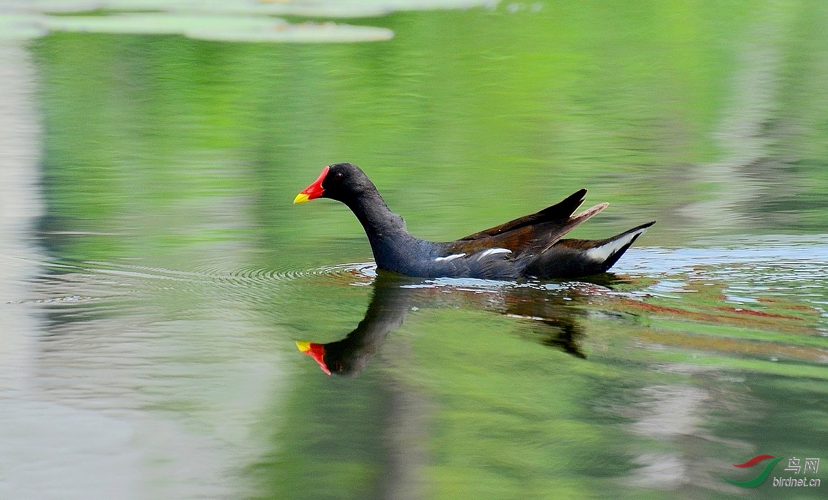 DSC_7281.JPG