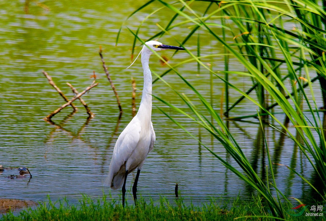 DSC_1917.jpg