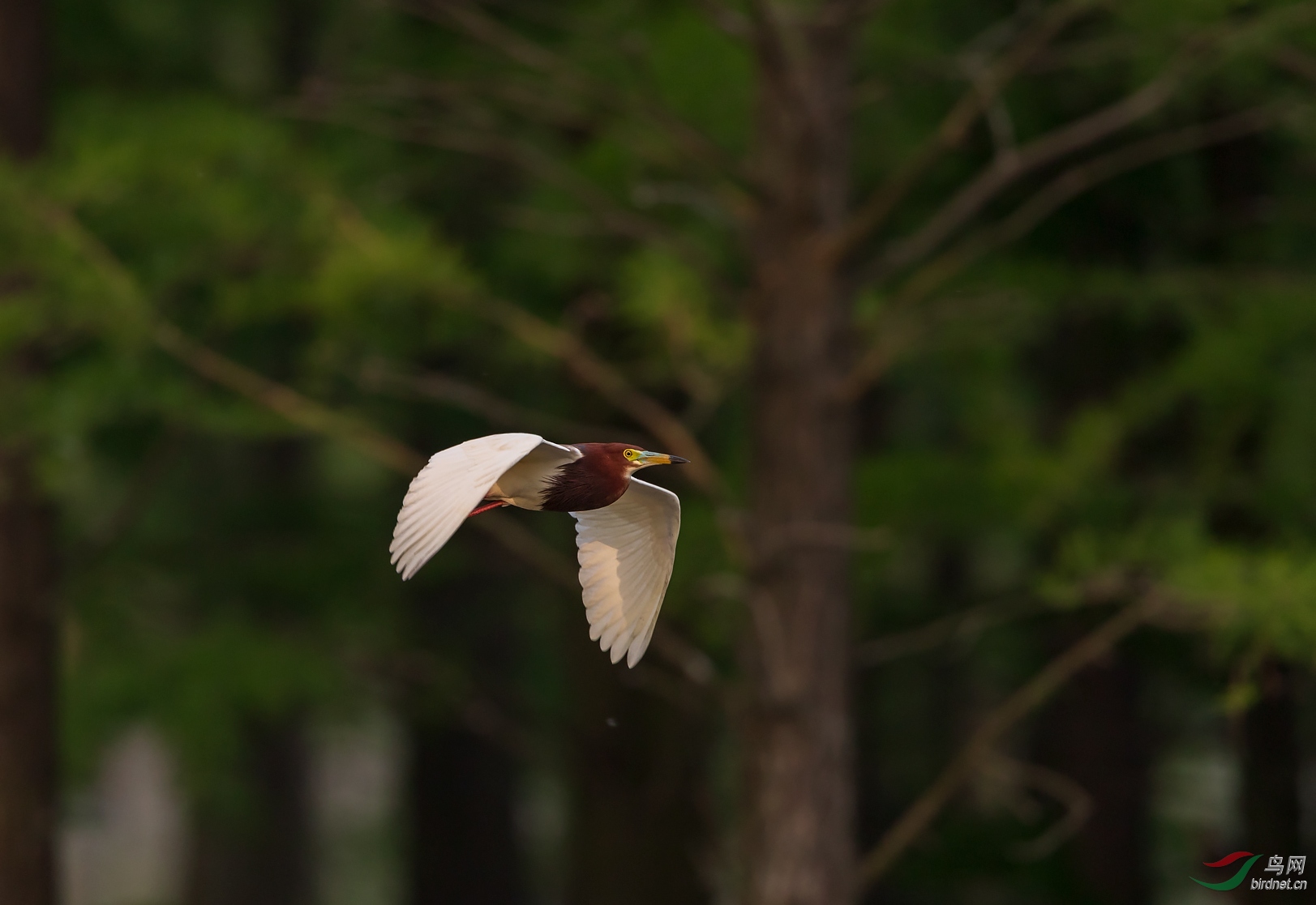 1DX_5712.jpg