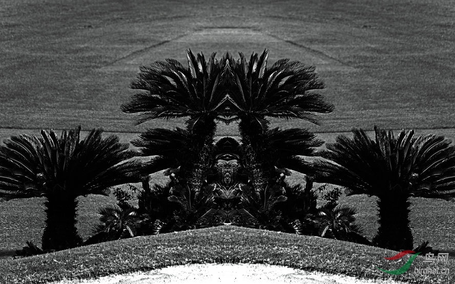 BW6I5258_����_����2_����.jpg