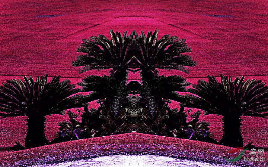 BW6I5258_����_����1_����1_����.jpg